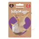 Rosewood catnip tune chaser bird