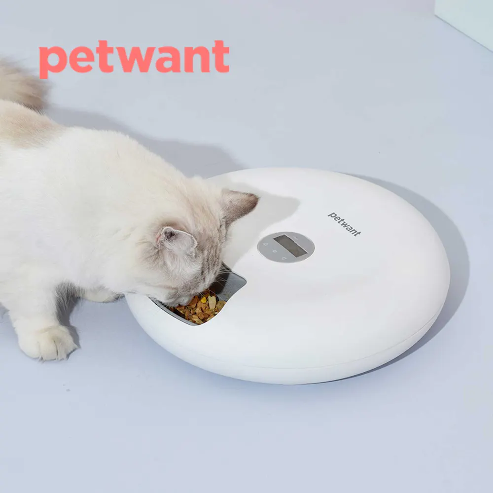 Petwant f6 donuts smart automatic 6 meals pet feeder - image 5
