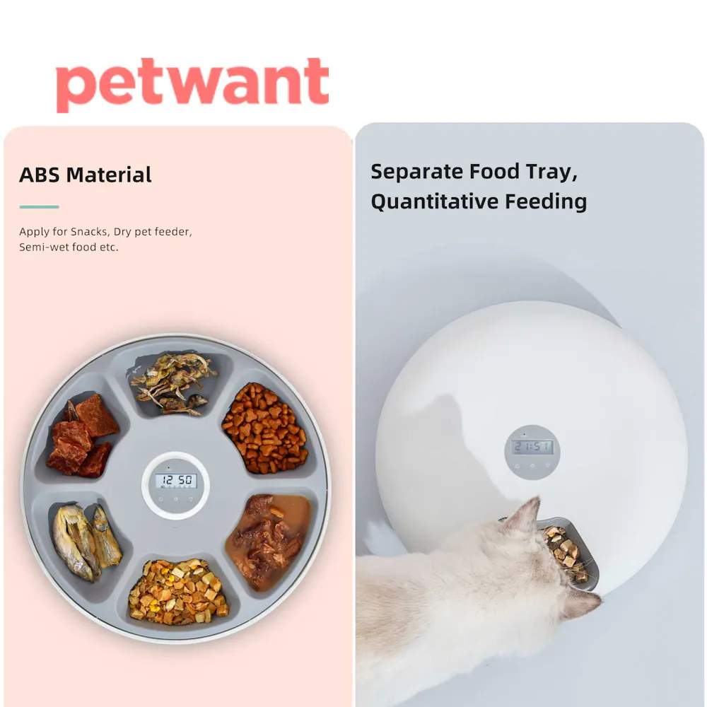 Petwant f6 donuts smart automatic 6 meals pet feeder - image 2