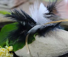 Sweet meows black & white feather clipon