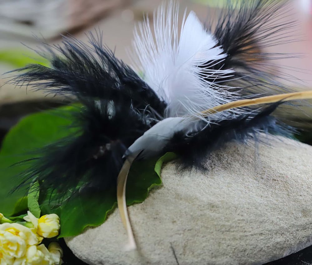 Sweet meows black & white feather clipon