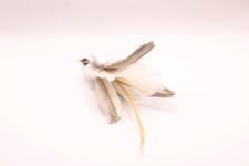 Sweet meows brown feather clipon