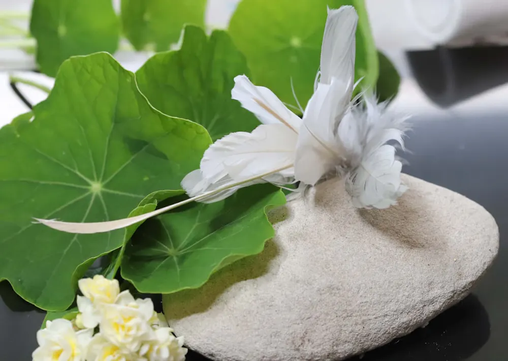 Sweet meows brown feather clipon - image 2