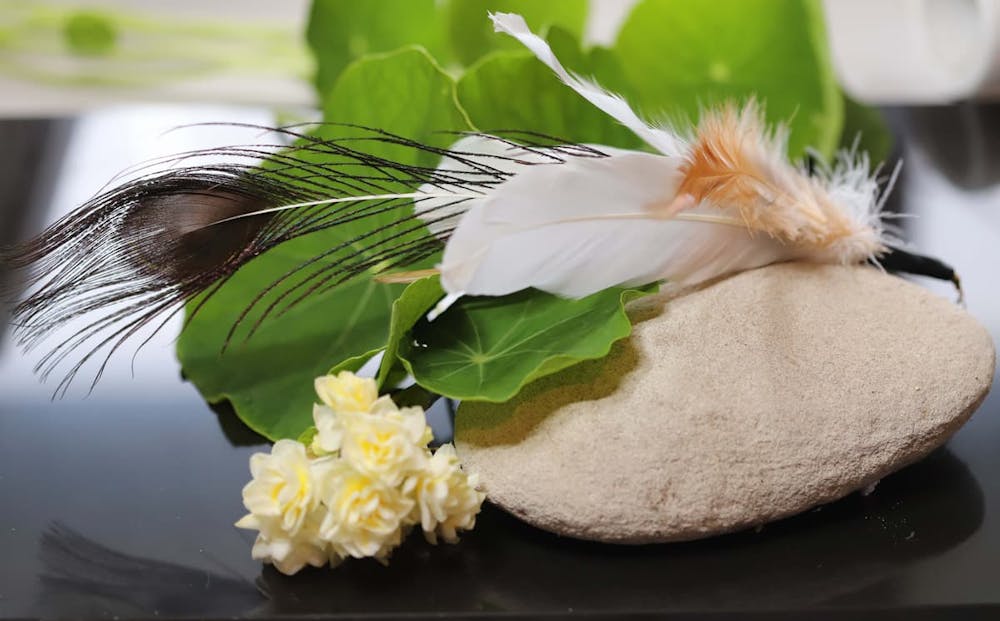 Sweet meows peacock feather teaser clipon - image 2