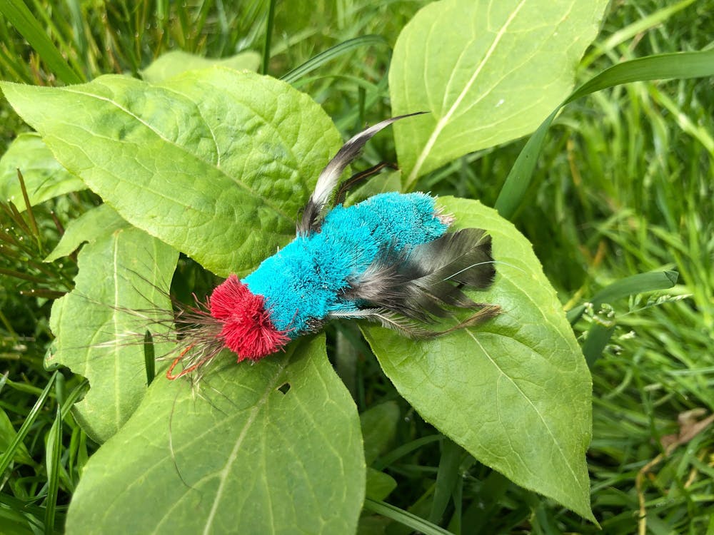 Purrs fly clipon - image 3