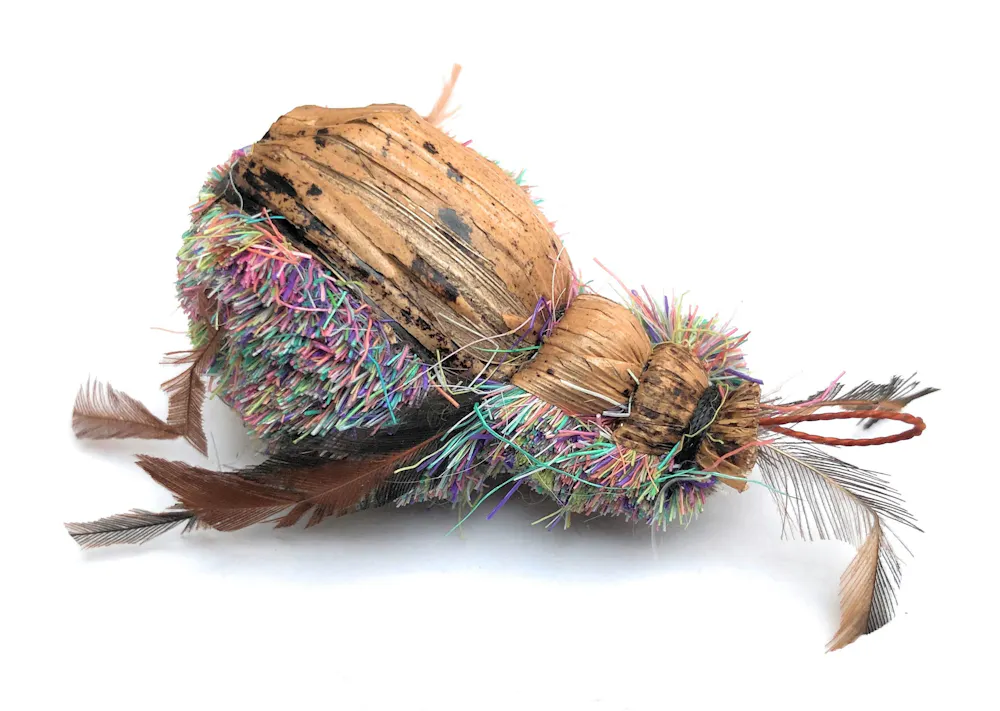 Purrs rainbow beetle clipon