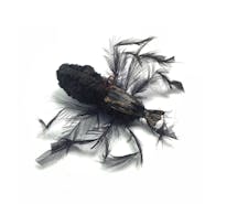 Purrs tarantula clipon