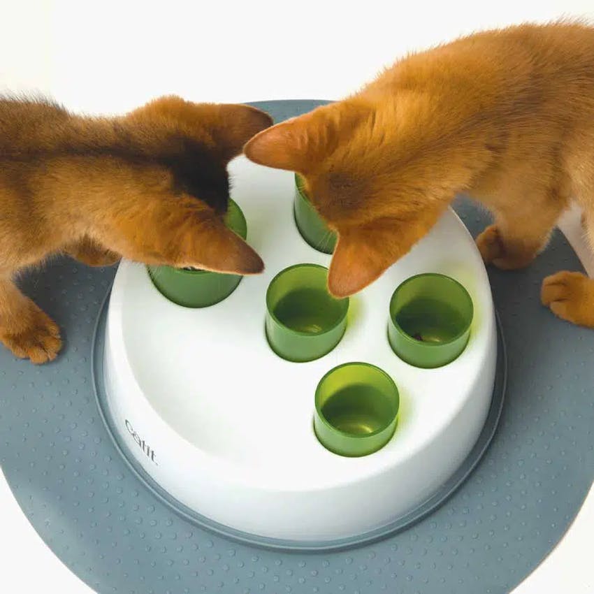 Catit 2.0 Senses Food Digger with cats playing