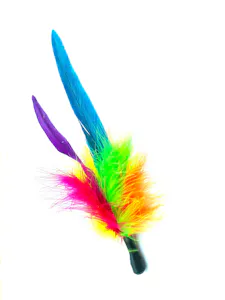 Purrs flingie fluffies