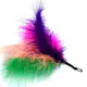 Purrs rainbow fluffer