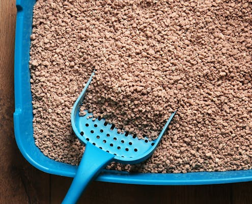 Cat litter box with scoop on wooden floor
