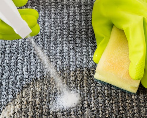 Close-up of person hand spraying detergent on carpet