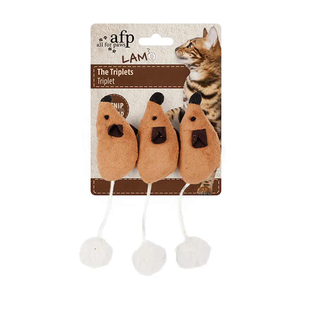 All for paws lam cat the triplets