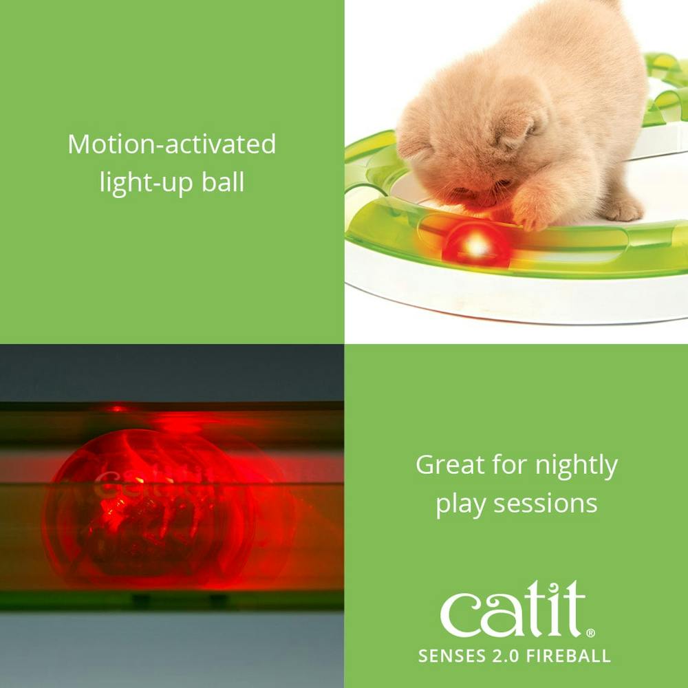 Catit senses fireball - image 2