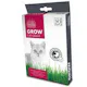 M-pets grow cat grass