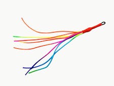 Purrs rainbow chaser clipon