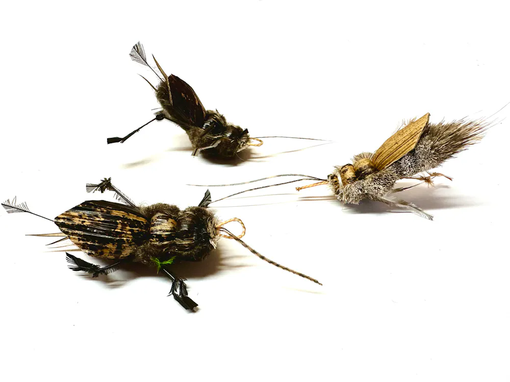 Purrs ickle cricket clipon