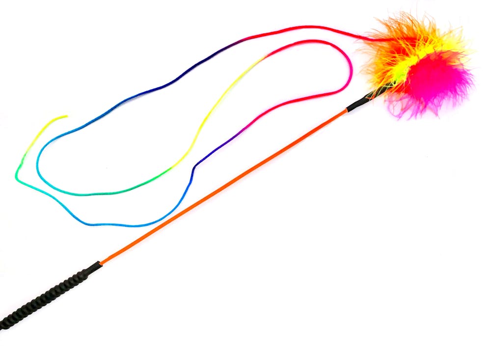 Purrs rainbow dash screwon attachment