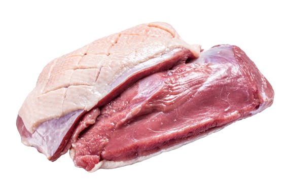 Duck breast fillet on butcher table, raw poultry meat. Isolated on white background.