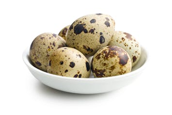 Quail eggs on white background