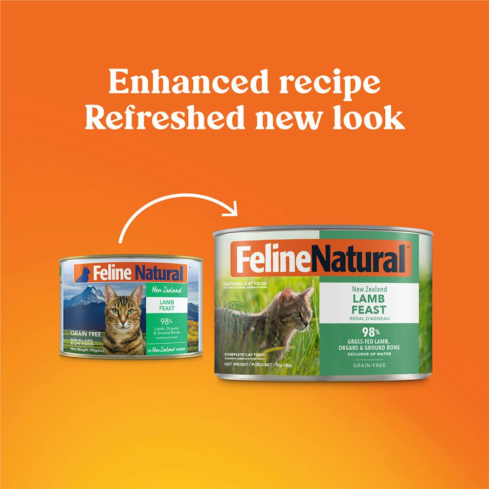 Feline natural lamb feast canned