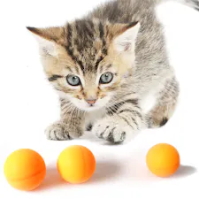 K9 homes ping pong balls