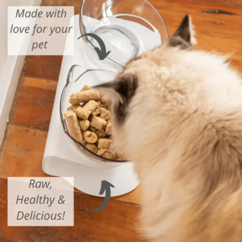 Cat eating meow freeze dried wild venison cat food from a bowl